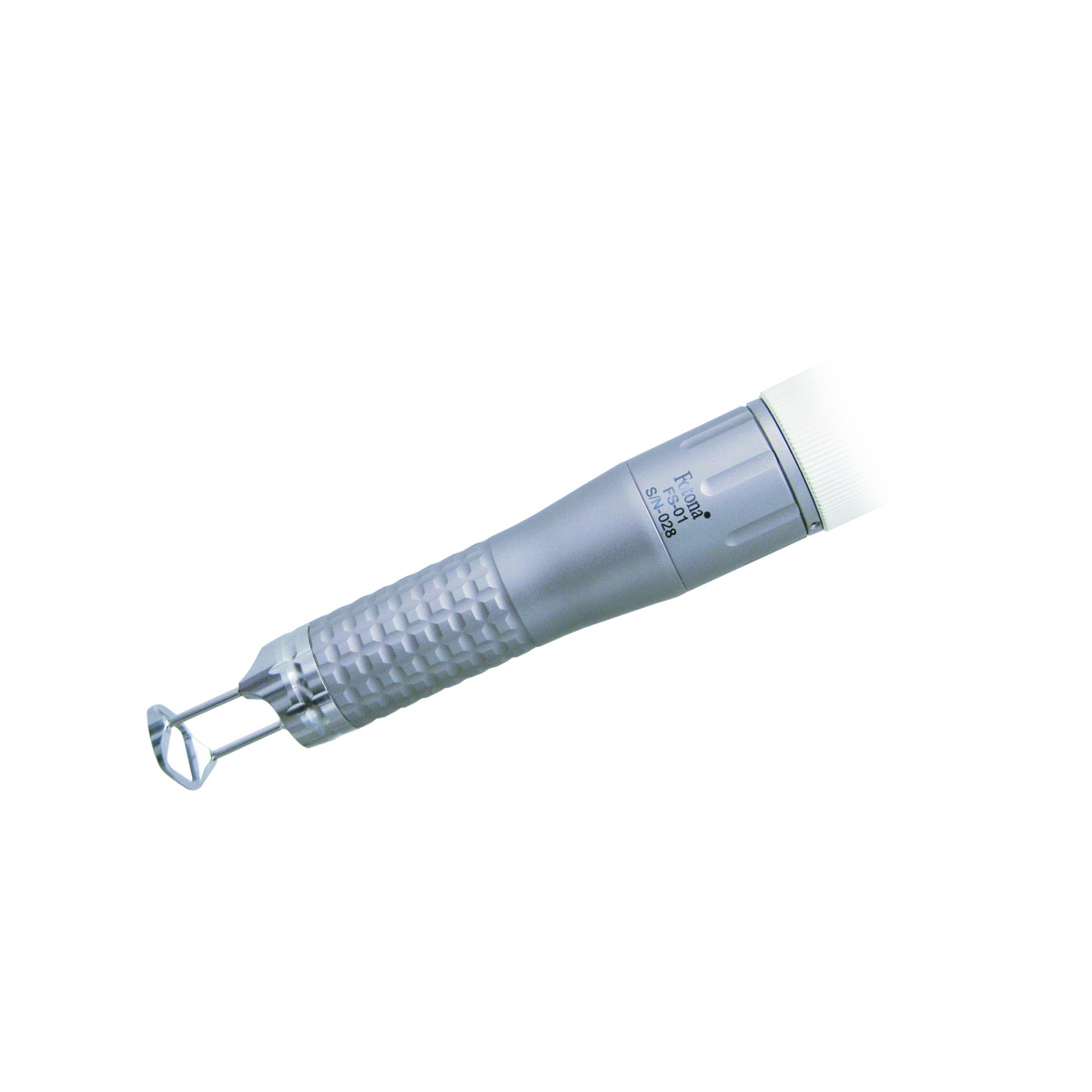 FS01